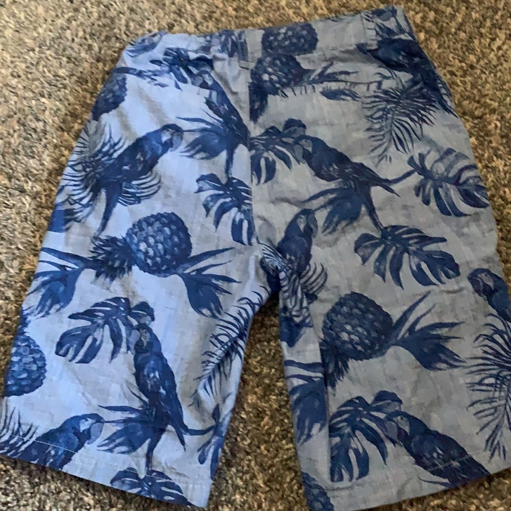 Boys size 12 Great Condition Parrot shorts - Picture 3 of 3